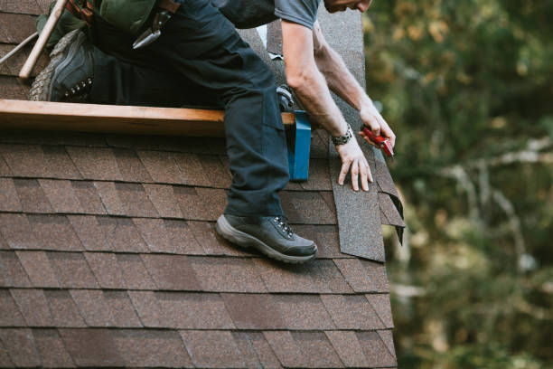 Best Roof Gutter Cleaning  in Morgan, UT
